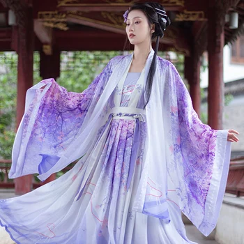 Tradicinės Kinų Stiliaus Suknelė Violetinė Hanfu Kostiumas Helovinas Moterims Gėlių Siuvinėjimas Azijos Drabužių Tang Dinastijos Skraiste Cosplay