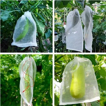 Sodo grynosios maišelį Vabzdžių įrodymas, net Vaisių, Daržovių Paukščių įrodymas, net Vabzdžių įrodymas, net Vaisių ir Daržovių, Įvairių dydžių