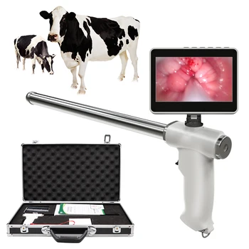 Vaizdo Karvių Endoskopą Spermos Ginklą Pieninių Galvijų Veterinarijos Veisimo Apvaisinimo Išnagrinėti Įrankiai Karvė Dirbtinio Apvaisinimo Įrenginį